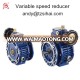 UD(L) variable speed reducer